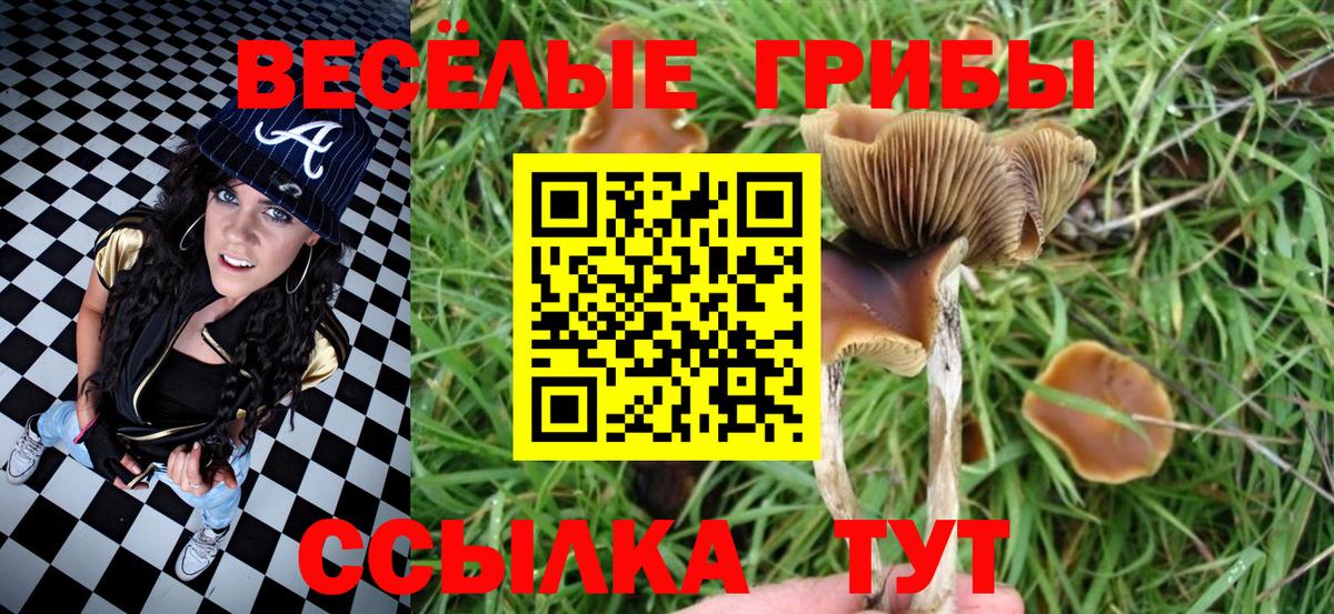 Галлюциногенные грибы мухоморы Бузулук