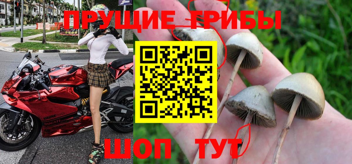 Бузулук  Галлюциногенные грибы ЛСД  Вход с VPN 